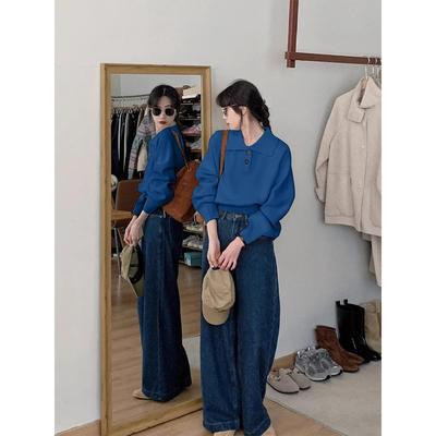 高级感蓝色翻领针织衫女