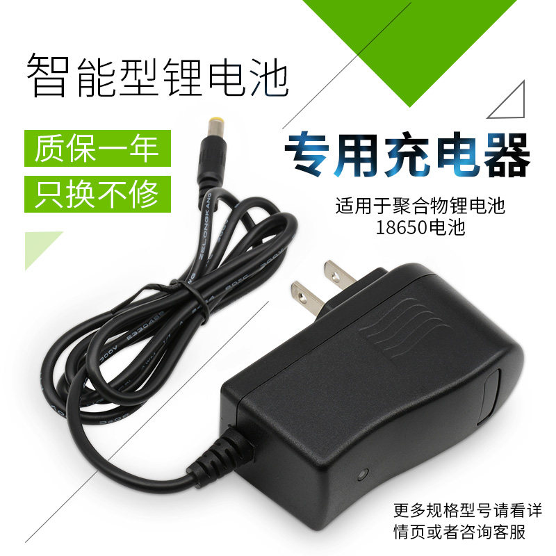 锂电池智能型专用充电器12v4.2v8.4v24v快充欧规英规充电器