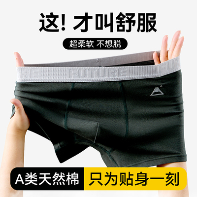 青少年内裤男童发育期初高中生