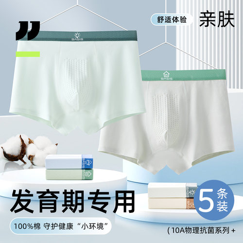 京伽青少年内裤全棉发育期四角裤