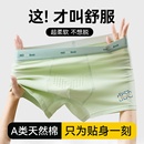 吸湿排汗纯棉四角 男款 青少年内裤 男童发育期初高中生男孩全棉男士