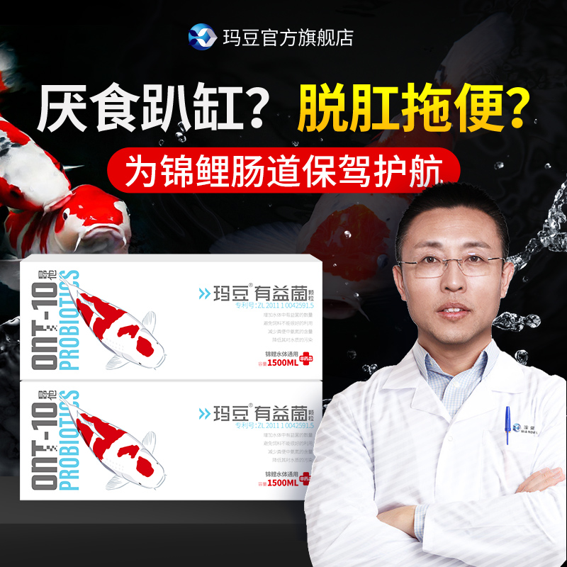 玛豆有益菌玛豆锦鲤观赏鱼肠道