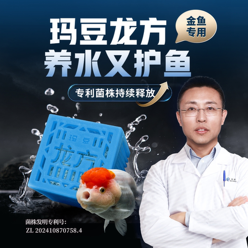 玛豆金鱼专用硝化细菌