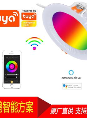 智能筒灯RGBCW涂鸦WIFI智能七彩TUYA调光调色AlexaGoogle