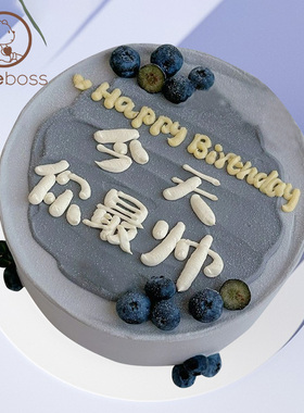 CAKEBOSS今天你最帅祝福送男士水果动物奶油生日蛋糕北京同城配送