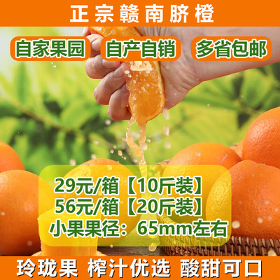 正宗赣南脐橙子橘子桔子多省包邮自家果现摘应季新鲜水果10斤/箱