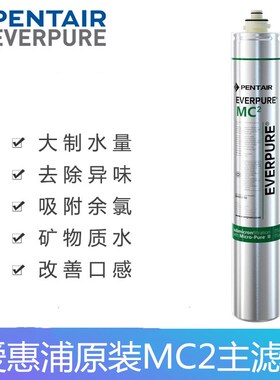 爱惠浦美国mc2奶茶店直饮水机
