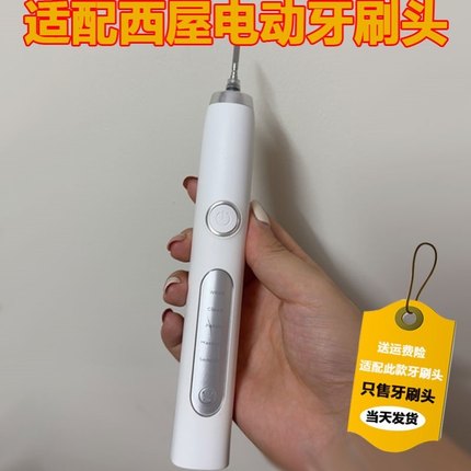 适配Westinghouse西屋电动牙刷头WT-501w型成人替换头持久不倒毛