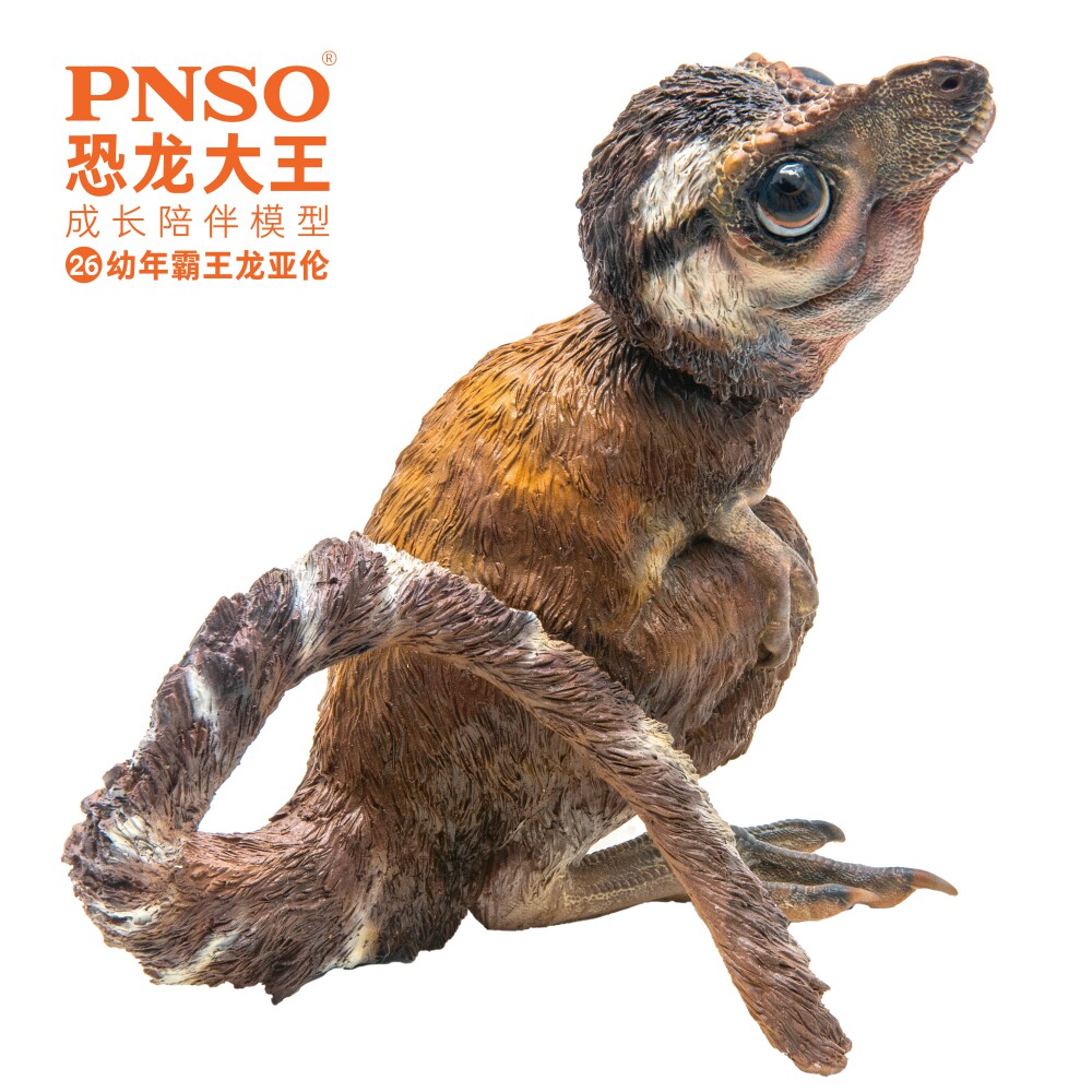 pnso幼年霸王龙亚伦恐龙大王成长陪伴模型26