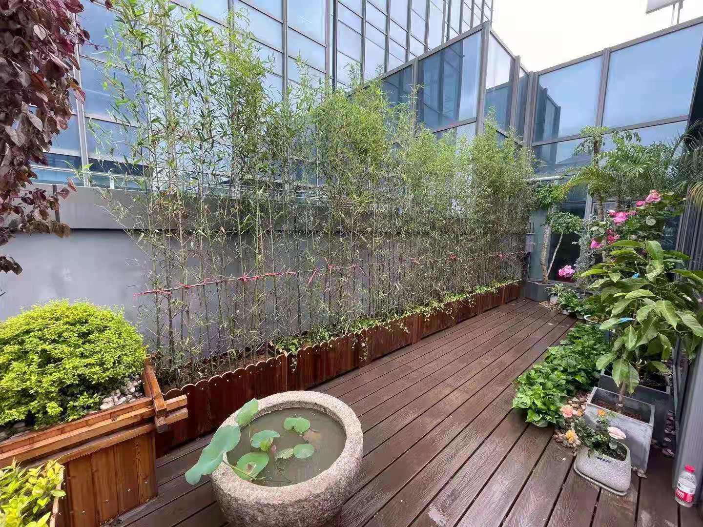 花园设计施工盆栽绿植阳台露台植物上门设计杭州上海宁波苏州南京