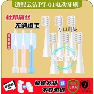 inncap云洁电动牙刷PT01牙刷头声波电动牙刷成人替换牙刷头12支装