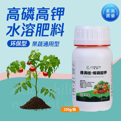 洛圣烯磷酸钾膨果增甜枝枝爆满