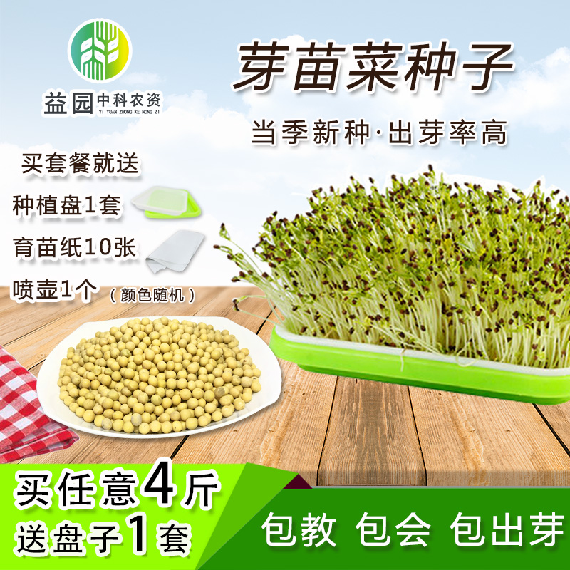 豌豆苗种子 图片 价格 多少钱 什么值得买 豌豆苗种子 图片 价格 多少钱 什么值得买