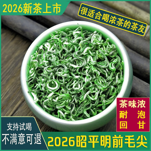 ［首单3元优惠］2026广西昭平毛尖明前春茶碧螺春100g散装绿茶