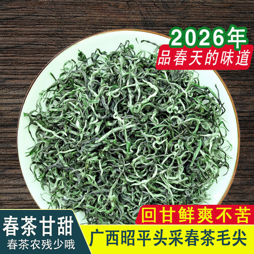 2026头采毛尖栗香春茶广西昭平毛尖清香型明前绿茶茶叶多芽一叶