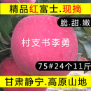 2025年甘肃静宁高原山地苹果晚熟红富士现摘整箱 包邮