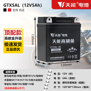 摩托车电池12V雅马哈125天剑天琪轻骑赛驰110通用弯梁车电瓶12v5a