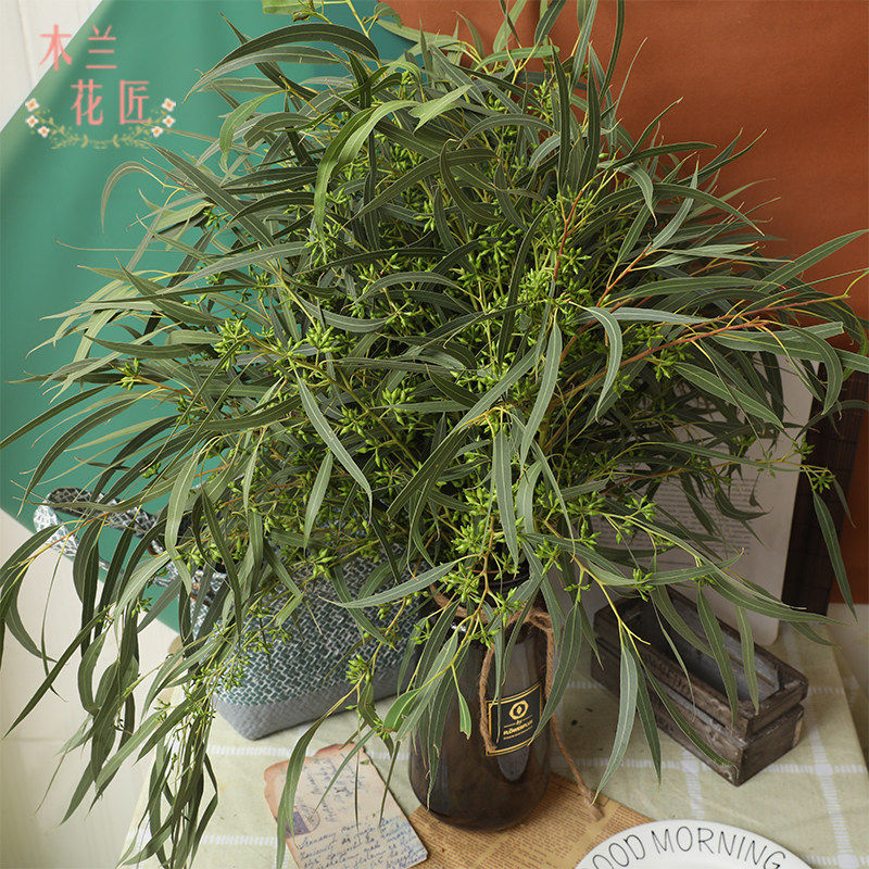 鲜花小米果小米果叶鲜切花婚礼家庭插花可做干花云南基地空运直发