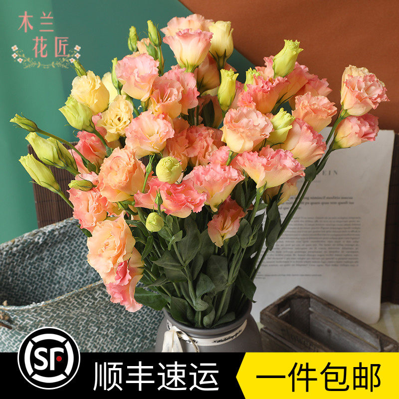 新鲜洋桔梗鲜花多色单品龙胆风铃花家庭办公室插花云南直发包邮,鲜花速递/花卉仿真/绿植园艺,花材,淘宝优惠券,粉丝福利购,淘宝优惠卷
