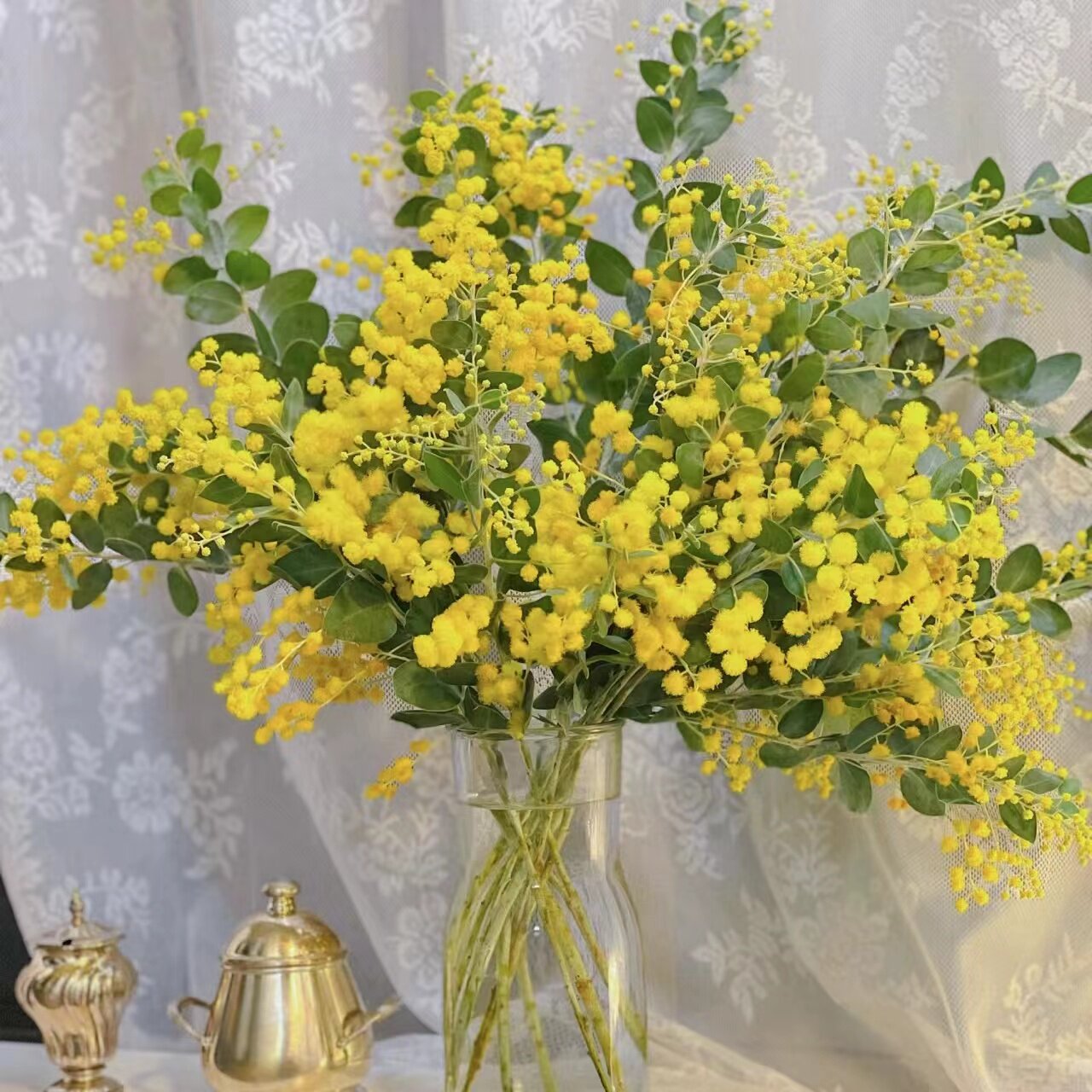 金合欢鲜花可做干花家用办公室鲜切花水养插花花中式顺丰冷链包邮