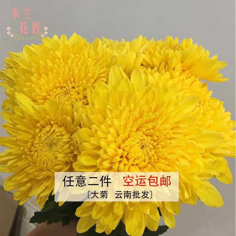 上坟扫墓云南昆明鲜花速递包邮