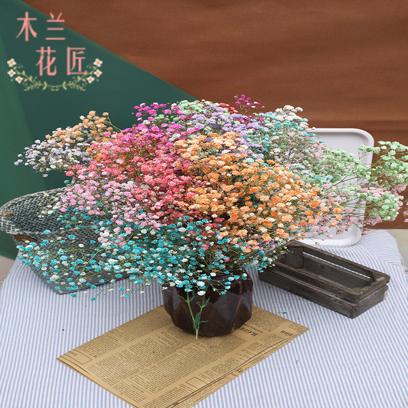 云南昆明新鲜满天星鲜花办公室家庭插花婚礼可制作干花空运包邮