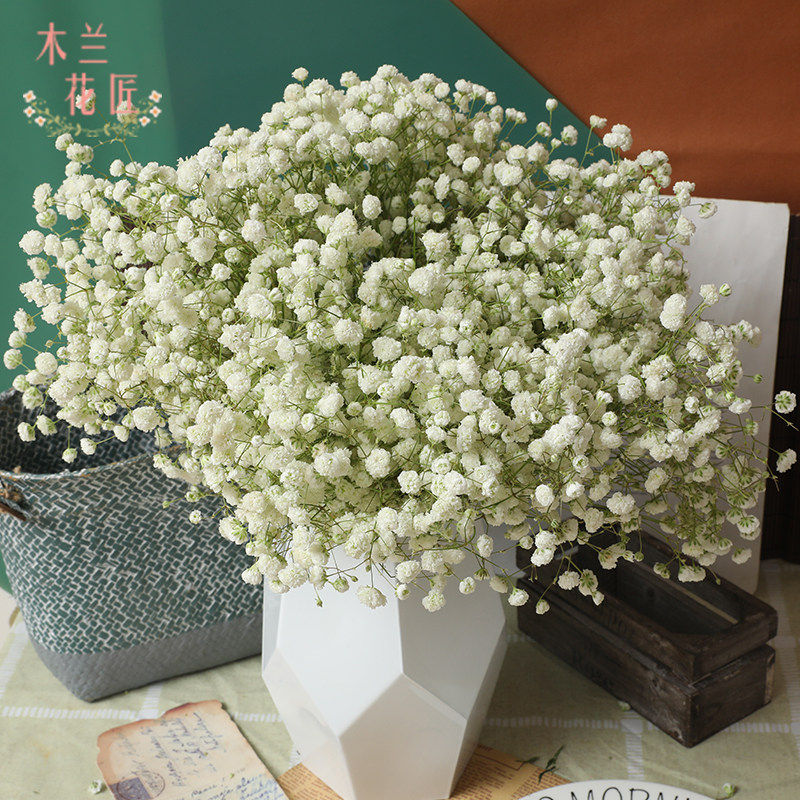 新鲜多色大束满天星x鲜花小清新