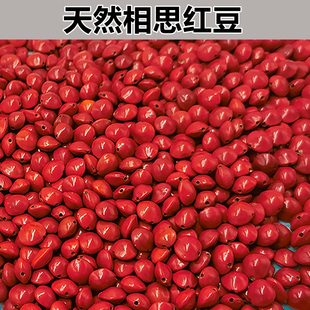 天然红豆菩提原籽相思豆海红豆手串手链散珠论斤红豆珠子一颗打孔