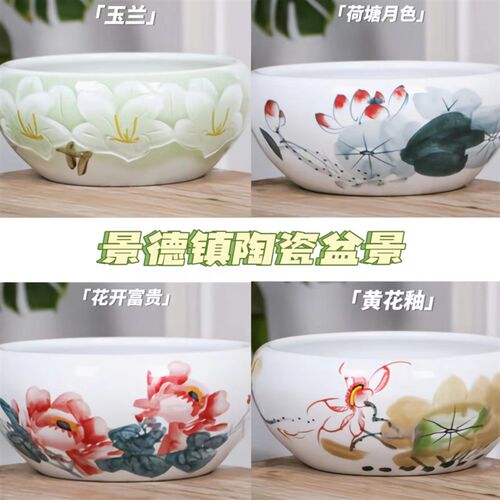 景德镇陶瓷花盆盆景鱼缸客厅摆件吸水石睡莲水培盆现货