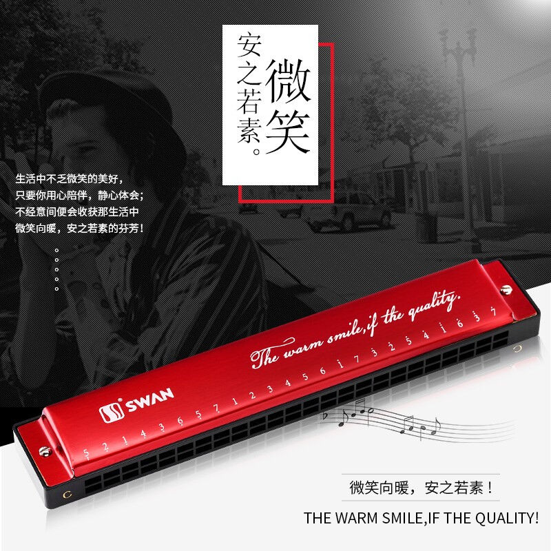 天鹅24孔单音c调口琴单音C大调初学者学生成人儿童练习入门自学专