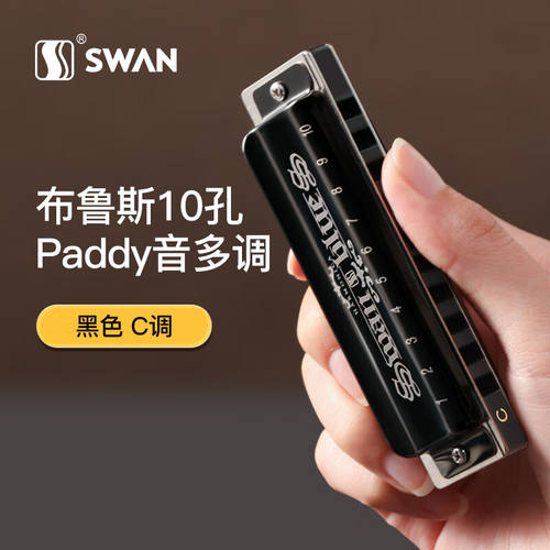 天鹅（SWAN）十孔布鲁斯口琴10孔C调paddy音儿童成人初学者专业演