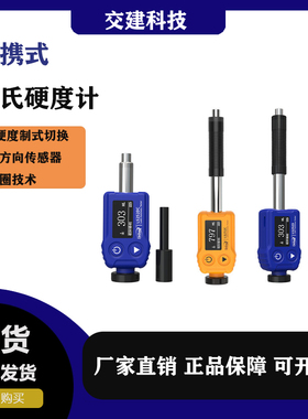林上高精度里氏硬度计LS252D金属钢材硬度计铸铁模具硬度测试现货