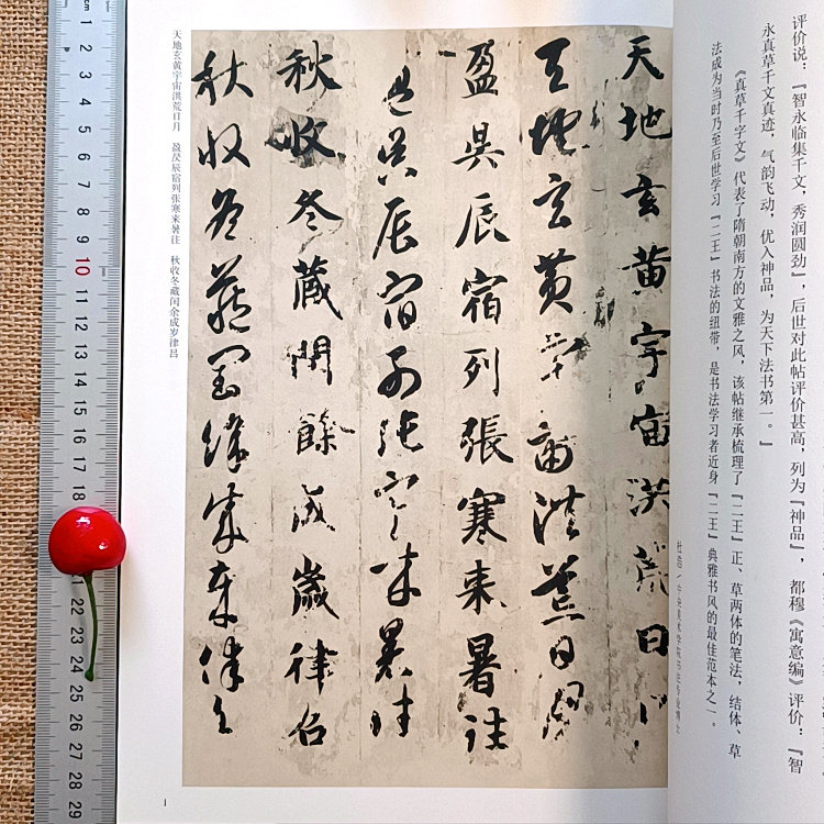 智永真草千字文墨迹完整版 楷书草书对照字帖 毛笔书法临摹碑帖 高清原帖无删减 成人初学者练字专用毛笔字帖