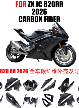 适用于张雪机车ZXJC820RR碳纤维改装摩托配件档泥板定风翼导流罩