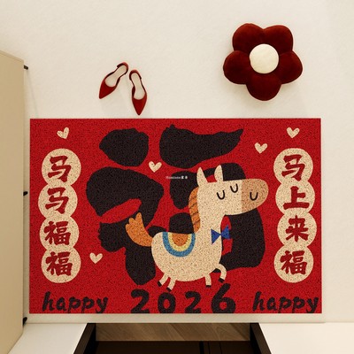 现代中式丝圈防滑耐脏入户门垫