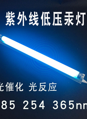 紫外线低压汞灯185nm254nm光催化实验用即插即用底压降解化学合成