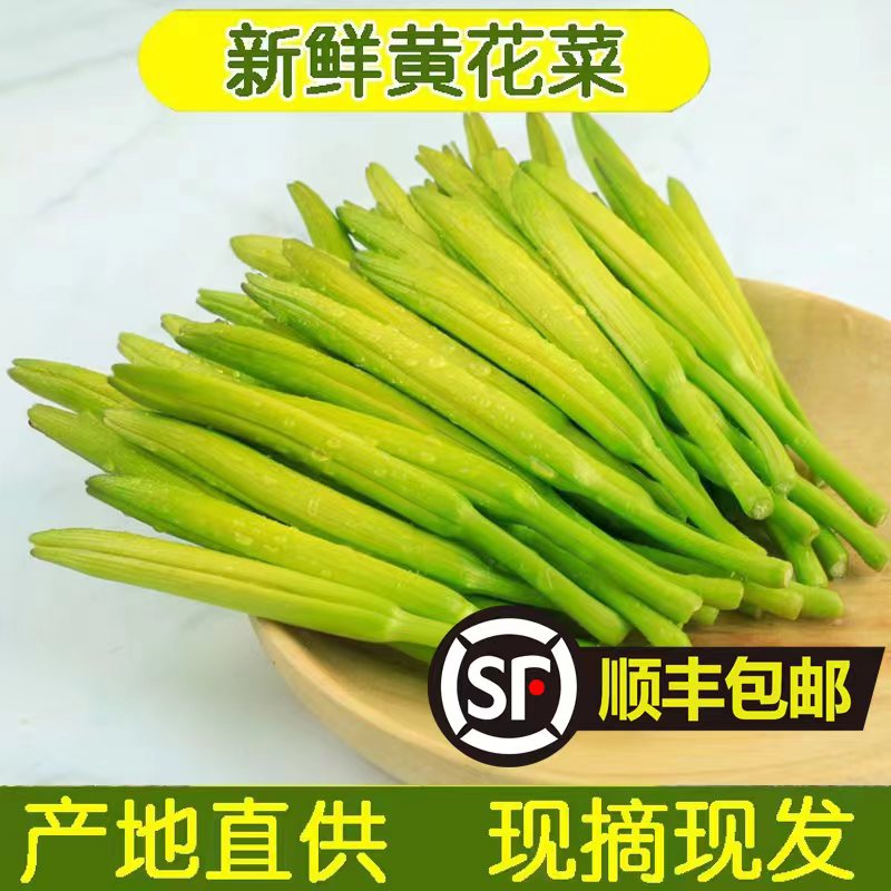 新鲜黄花菜现摘现发野生金针菜农家野菜时令蔬菜凉拌菜酒店特色菜