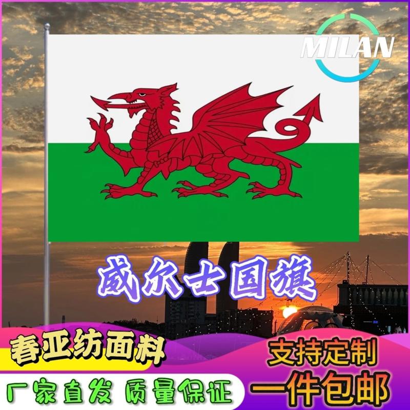 威尔士国旗尺寸2345678号手摇旗世界国旗中美英德国俄罗斯旗