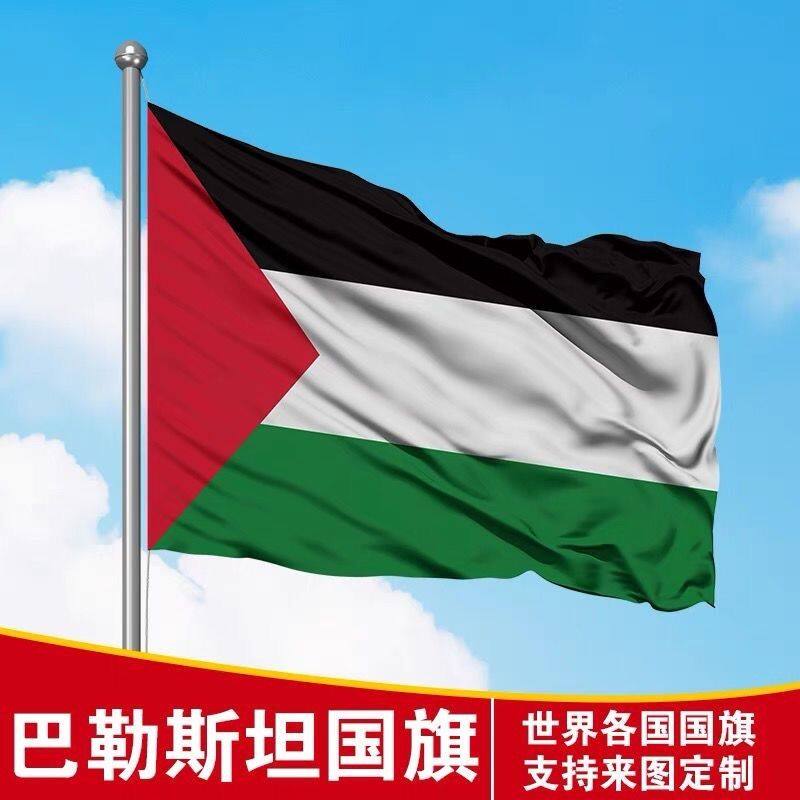 巴勒斯坦国旗世界各国手摇红旗旗帜旗子定制大号
