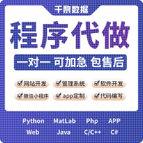 python代编程序C++语言matlab深度学习PHP代码编写定制代写javaC#