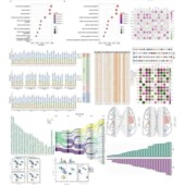 CLIP 鉴定服务 蛋白结合位点 seq互作分析 RNA