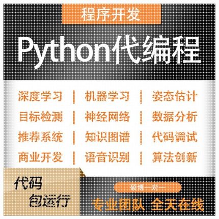 python代编程深度学习机器学习yolo目标检测算法创新人工智能指导
