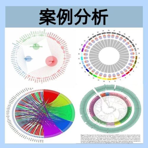全转录组RNAseq表达量分析