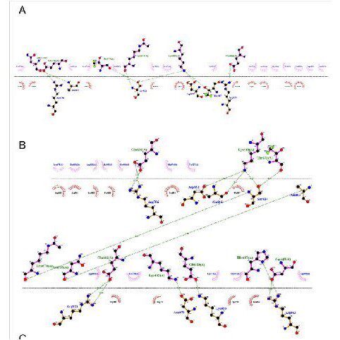 分子动力学模拟 分子动力学代算 生物分子计算 amber gromacs代算