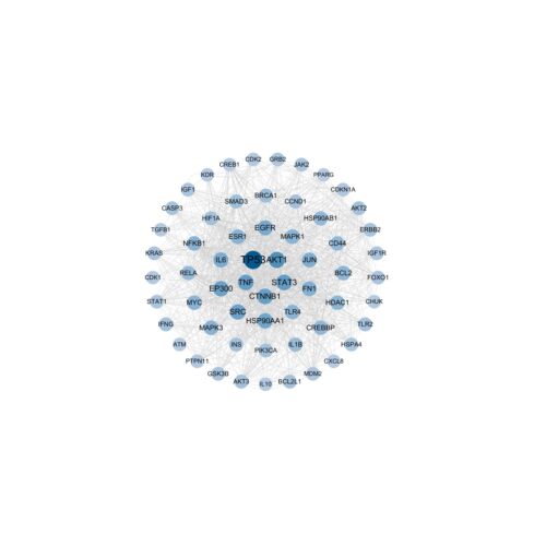 网络药理学 PPI 蛋白互作分析 cytoscape作图