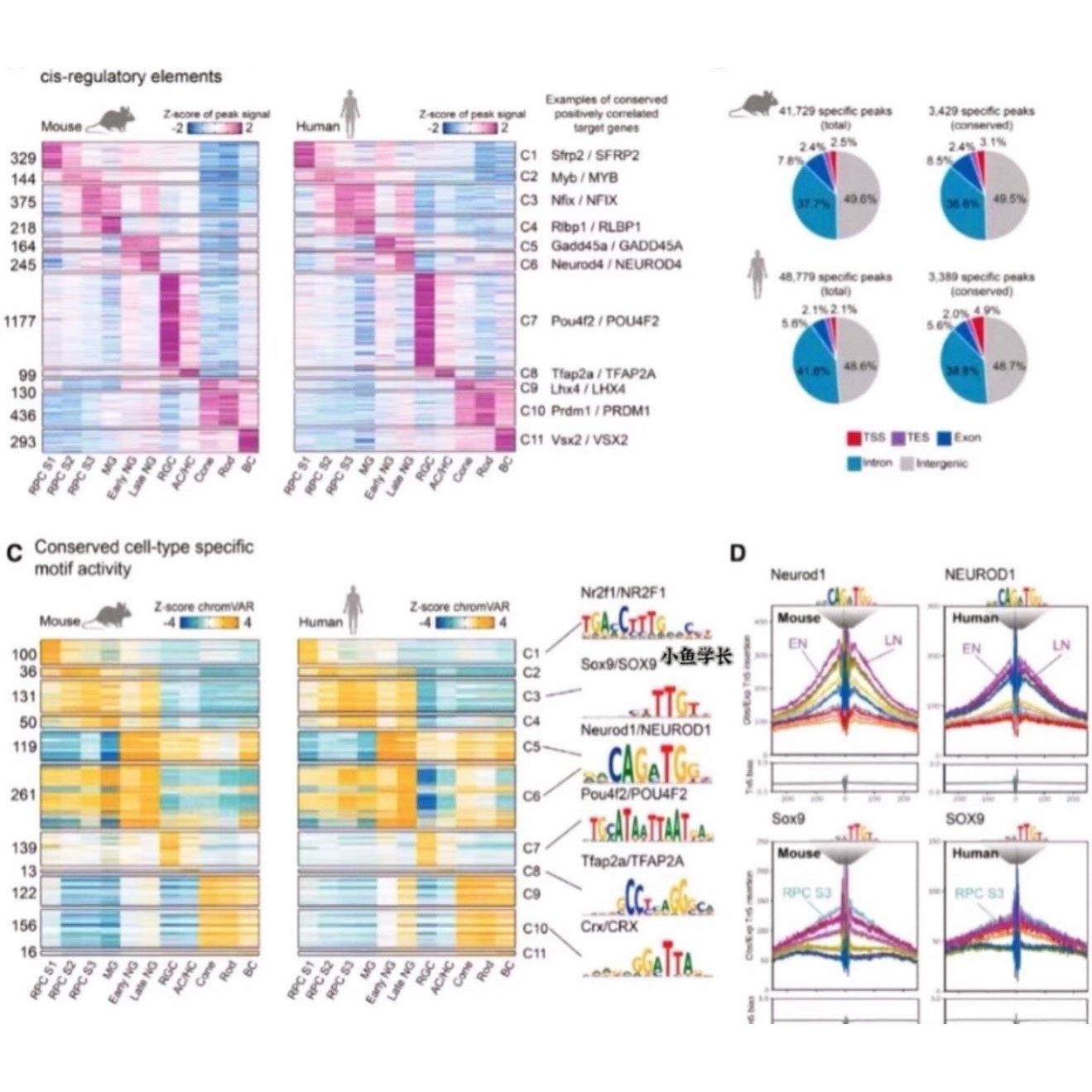 多组学联合分析转录组代谢组基因差异16S肠道菌群单细胞测序分析