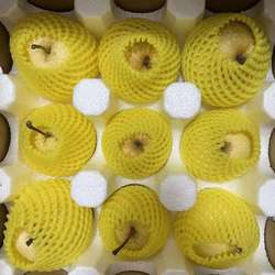 陕西乾县泔河酥梨新鲜水果乾县特产梨子当季梨子新鲜薄皮5/10斤装