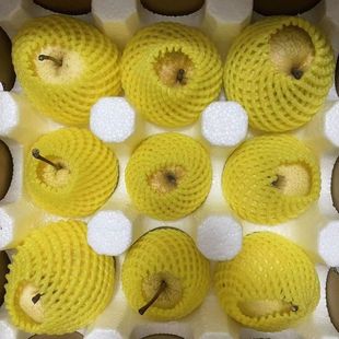 陕西乾县泔河酥梨新鲜水果乾县特产梨子当季梨子新鲜薄皮5/10斤装