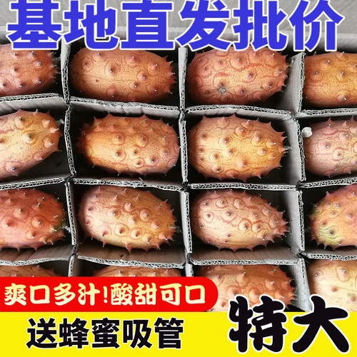火参果新鲜8个大果 火星果 非洲刺角瓜孕妇水果 灭霸水果同款海参