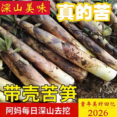 新鲜野生带壳苦笋客家特产竹笋春笋广东江西福建苦竹笋现挖现发